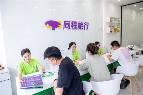 大众旅游风起 同程旅行如何通过旅游咨询服务筑高用户价值