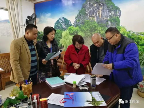 阳江迎春开门红 欢乐祥和、平安有序、优质服务的旅游新气象